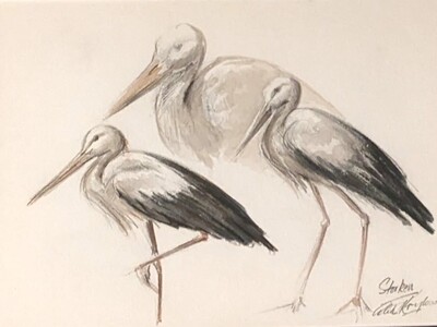 Kunst - Alek Krylow - Aquarel van 3 Ooievaars (Storken)