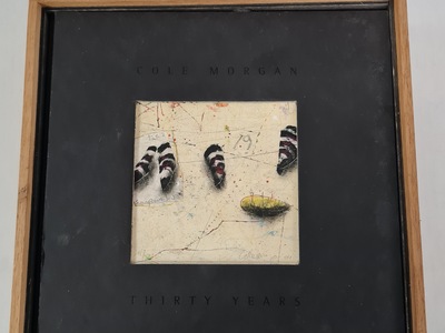 Kunstboeken - Cole Morgan - Thirty Years - gesigneerd