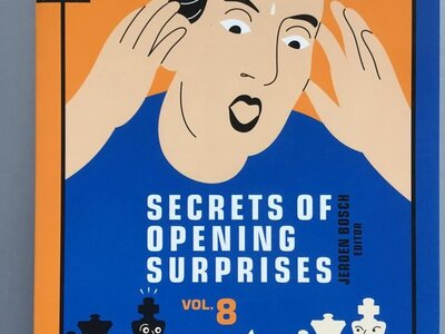 Uitgeversrestant - Jeroen Bosch/ Ruben Felgaer, Secrets of opening surprises vol.8, 100 x