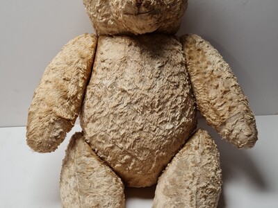 Grote "Teddy beer"