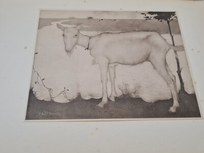 Jan Mankes. ''Oude geit''