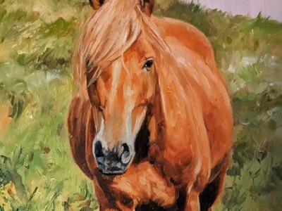 Kunst - David Stribling - Olieverf van een Paard