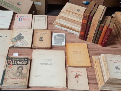 Franse Literatuur en Geillustreerd - Lot met 42 diverse uitgaven
