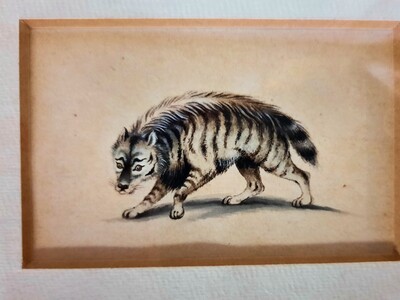 A Striped Hyena William B. Pearce 1833