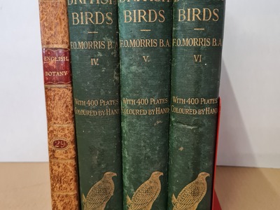 Antiquarische boeken: Lot met 4 boeken Naturalia met o. a. 204 handingekleurde litho's