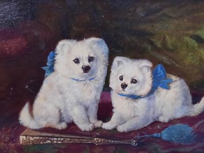 A Study of 2 Pomeranians (not signed)