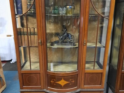 A 19th century display cabinet